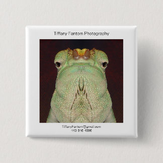 Badge Carré 5 Cm Morceau de promo de caméléon