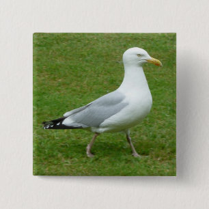 Badge Carré 5 Cm Mouette marchant dans le parc