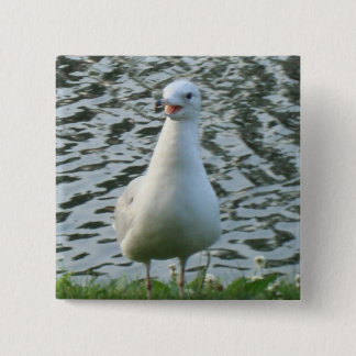 Badge Carré 5 Cm Mouette parlante