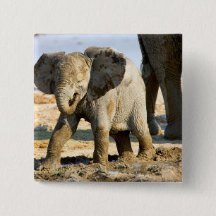 Badge Carré 5 Cm Namibie, Afrique : bébé éléphant d'Afrique