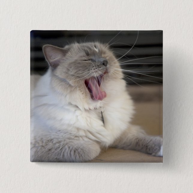 Badge Carré 5 Cm Neva Masquerade chat bâillonnant (Devant)
