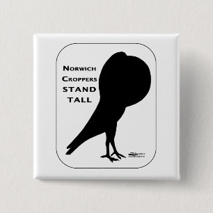 Badge Carré 5 Cm Norwich Croppers Reste grand