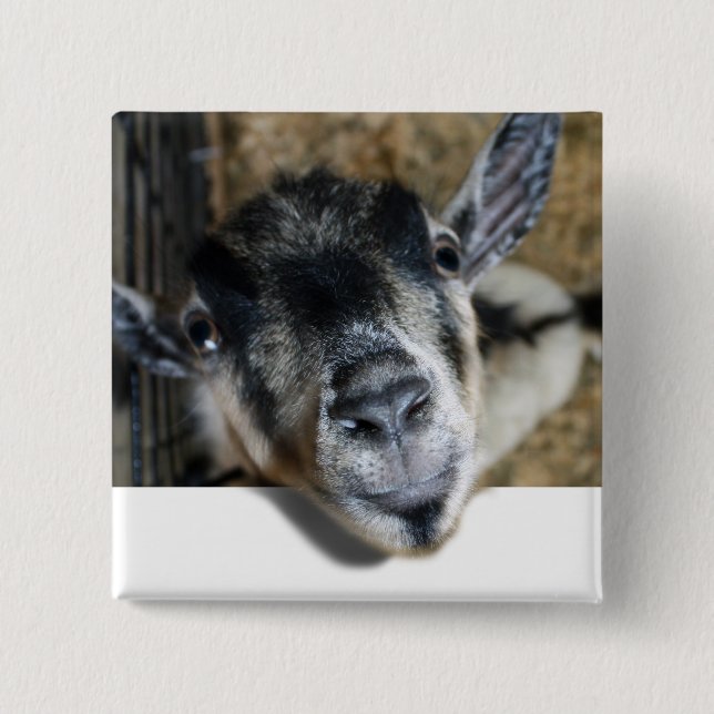 Badge Carré 5 Cm Nosy Goat En Regard (Devant)