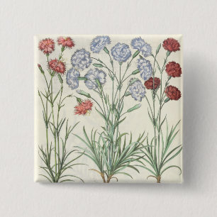 Badge Carré 5 Cm Oeillets : albo multiplex du flore 1.Caryophyllus