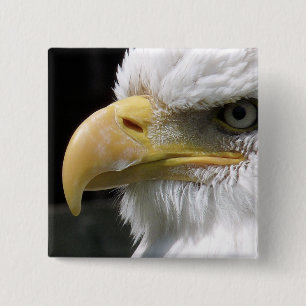 BADGE CARRÉ 5 CM OISEAU D'AGLE