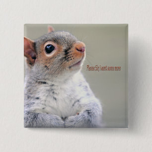 Badge Carré 5 Cm Oliver Twist Squirrel