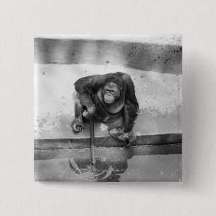 Badge Carré 5 Cm Orang-outan