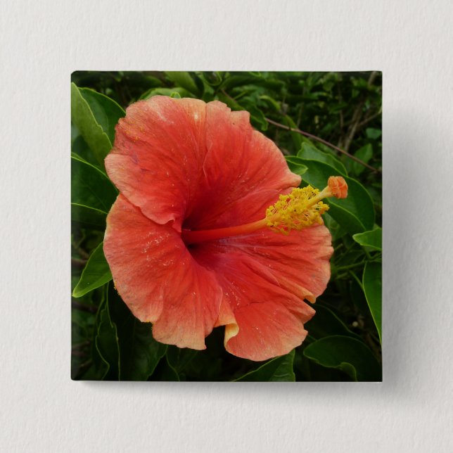 Badge Carré 5 Cm Orange Hibiscus Fleur Tropical Floral (Devant)