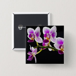 Badge Carré 5 Cm Orchidée blanche et violette