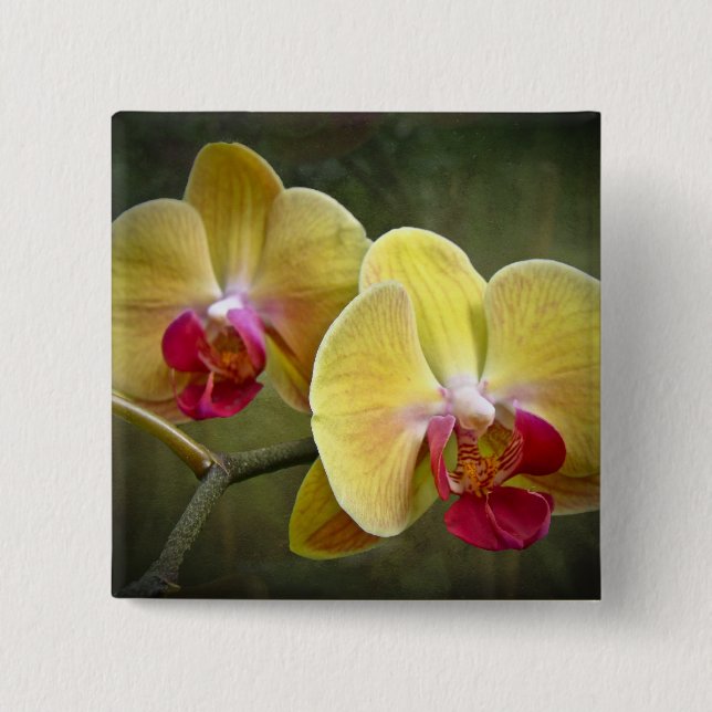 Badge Carré 5 Cm Orchidées de mite jaunes - Phalaenopsis (Devant)