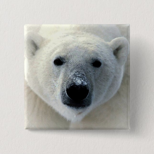 Badge Carré 5 Cm Ours polaire (Devant)