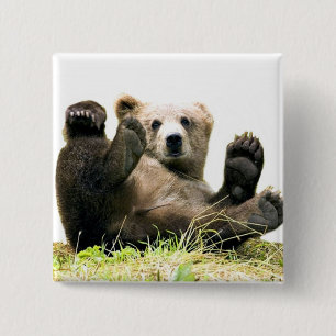 Badge Carré 5 Cm Ours sauvages