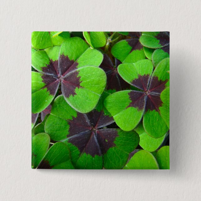 Badge Carré 5 Cm Oxalis Feuille - Rouge et vert (Devant)
