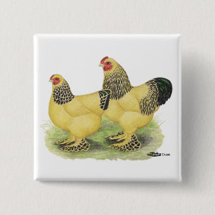 Badge Carré 5 Cm Paire Brahma Buff