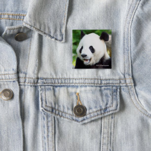 Badge Carré 5 Cm Panda géant mangeant le bambou