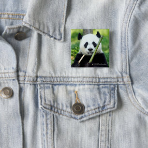 Badge Carré 5 Cm Panda géant tenant le bambou