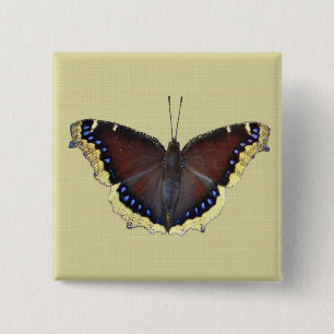 Badge Carré 5 Cm Papillon en deuil - Nymphalis antiopa