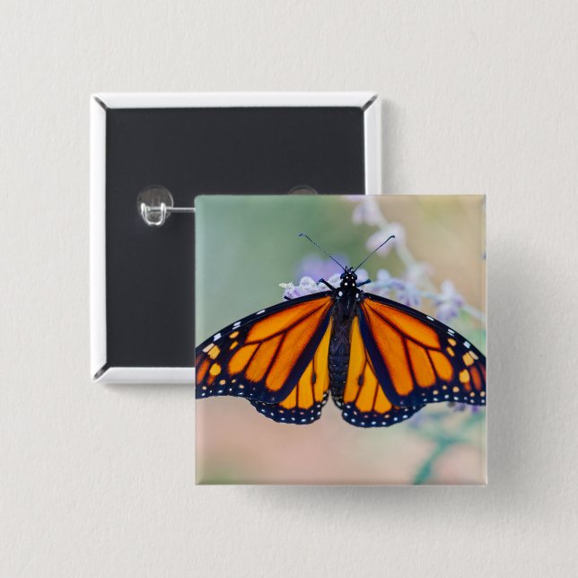 Badge Carré 5 Cm Papillon monarque (Devant & derrière)