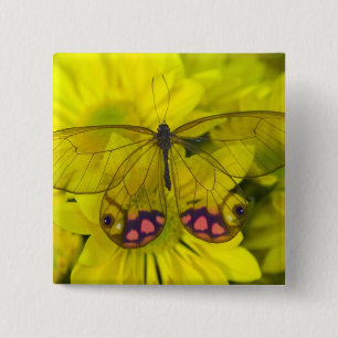 Badge Carré 5 Cm Papillon sur jaune