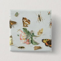 Papillons, mites et d'autres insectes