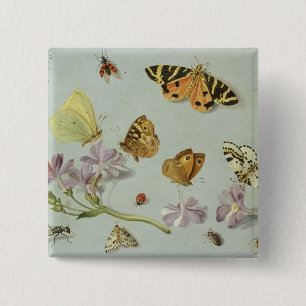 Badge Carré 5 Cm Papillons, mites et d'autres insectes
