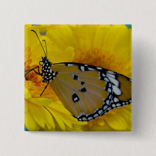 Badge Carré 5 Cm Papillons tropicaux