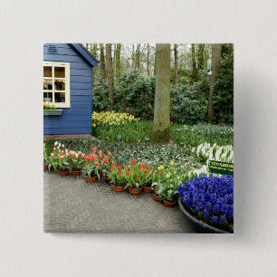 Badge Carré 5 Cm Pays-Bas aka Hollande), Lisse. Keukenhof 11