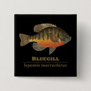 Badge Carré 5 Cm Pêche à la Breve de Bluegill