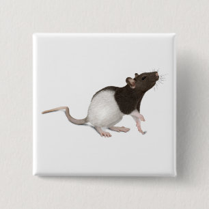 Badge Carré 5 Cm Peinture de rat pour animaux