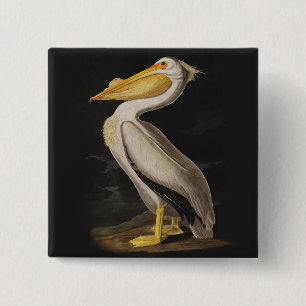 Badge Carré 5 Cm Pélican blanc Audubon