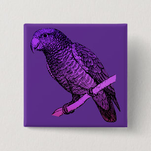 Badge Carré 5 Cm Perroquet pourpre
