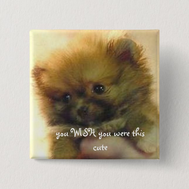 Badge Carré 5 Cm petit pomeranian mignon (Devant)
