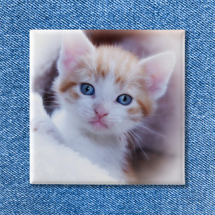 Badge Carré 5 Cm Photo carré de famille de chat mignon