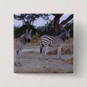 Badge Carré 5 Cm Photo Zebra Double Take