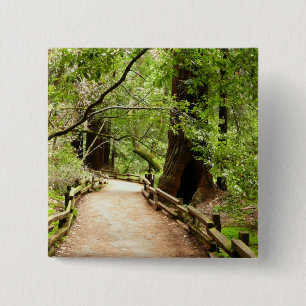 Badge Carré 5 Cm Photographie de la nature du chemin de Muir Woods 