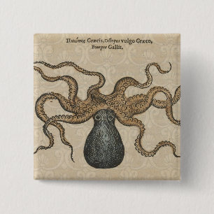 Badge Carré 5 Cm Pieuvre Kraken Antique Faune Marine Côtière