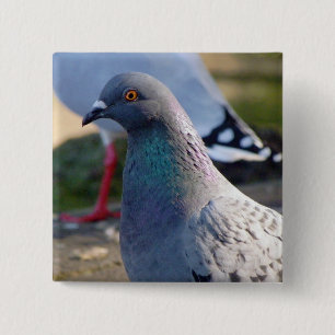 Badge Carré 5 Cm Pigeon
