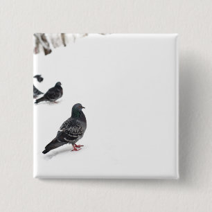 Badge Carré 5 Cm Pigeons