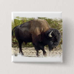 Badge Carré 5 Cm Pin américain de carré de Buffalo