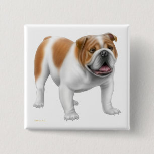 Badge Carré 5 Cm Pin anglais de bouledogue