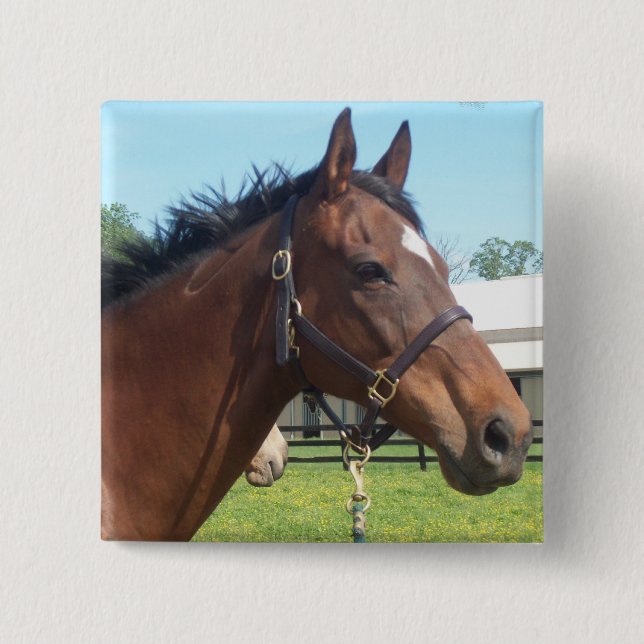 Badge Carré 5 Cm Pin arabe vigilant de cheval (Devant)