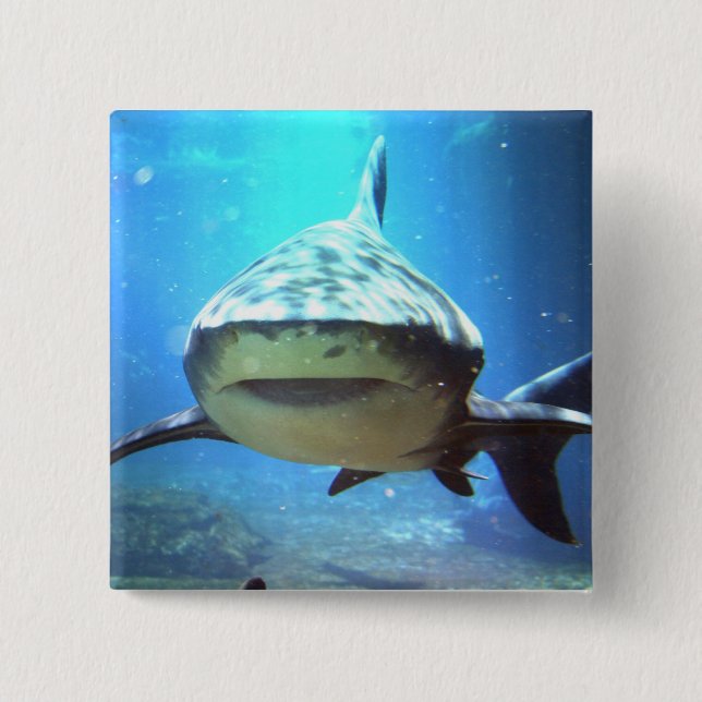 Badge Carré 5 Cm Pin carré de requin (Devant)