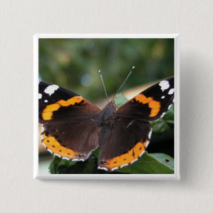 Badge Carré 5 Cm Pin d'amiral rouge papillon