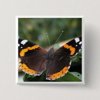 Badge Carré 5 Cm Pin d'amiral rouge papillon