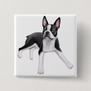 Badge Carré 5 Cm Pin de Boston Terrier