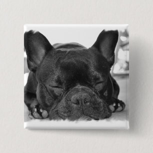 Badge Carré 5 Cm Pin de carré de bouledogue français