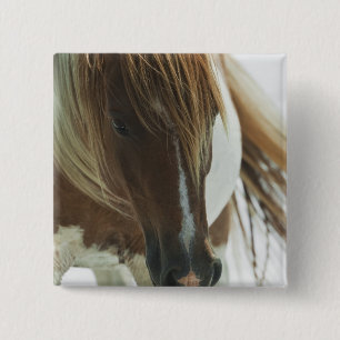 Badge Carré 5 Cm Pin de carré de cheval sauvage de mustang