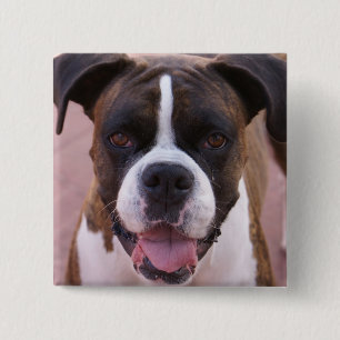 Badge Carré 5 Cm Pin de carré de chiot de boxeur