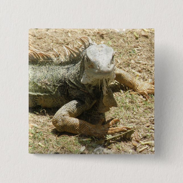 Badge Carré 5 Cm Pin de carré de lézard d'iguane (Devant)