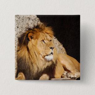 Badge Carré 5 Cm Pin de carré de photo de lion